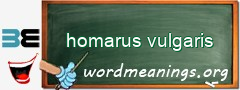 WordMeaning blackboard for homarus vulgaris